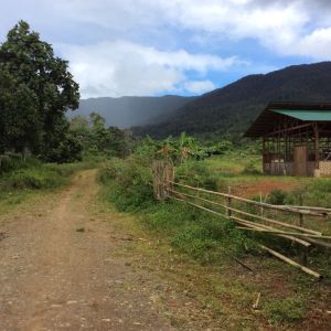 The road to Bendum. Photo from EcoJesuit by P. Sendin 